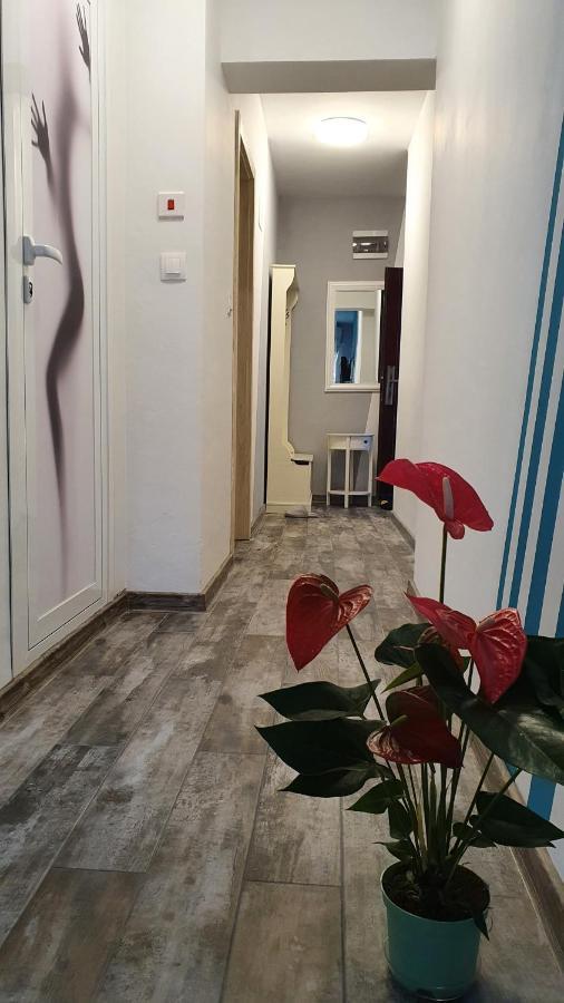 Apartament Sanny Daire Filibe Dış mekan fotoğraf